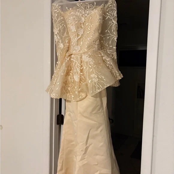 Formal Champagne Peplum Style Evening Gown for Weddings & Parties -  size 10 - Picture 6 of 6